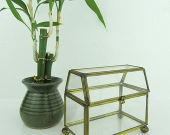 Brass and Glass Box with Hinged Lid~Small Windowsill Terrarium Suculents~Vintage Trinket Box Jewelry Box Catch All