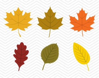 Fall Leaves SVG DXF PNG eps Autumn leafs thanksgiving Cut File for Cricut Design, Silhouette studio, Sure A Lot, Makes the Cut