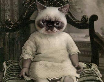 Funny cat art | Etsy