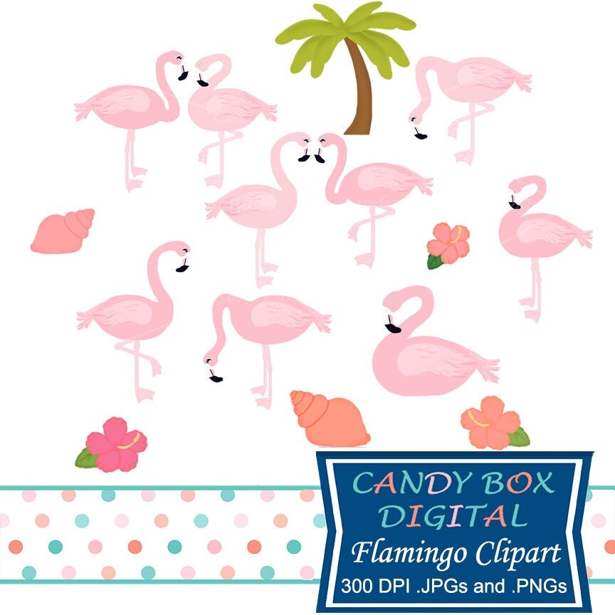 commercial use white flamingo clipart commercial use white flamingo clipart
