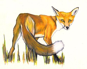 Fox Wall Art fox wall decor | etsy Fox Wall Art fox wall decor | etsy