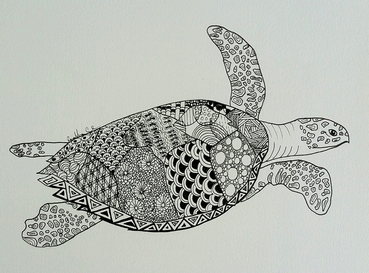 Turtle draw