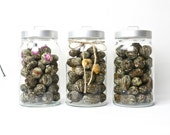 20pcs of Exotic Blooming Tea Flowering Jasmine Tea - any choices - Acupofafternoontea