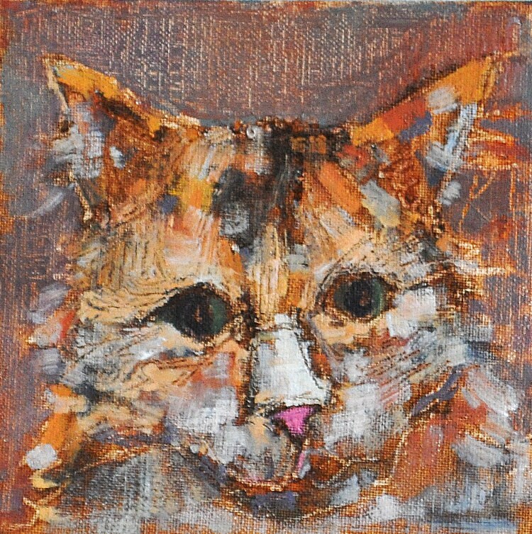 Custom Cat Portraits in San Diego, CA