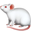 mouse2 mouse2