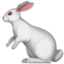 rabbit2