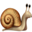 snail snail