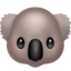 koala koala