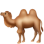 camel camel