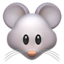 mouse mouse