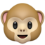 monkey_face monkey_face