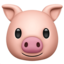 pig pig