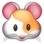 hamster hamster