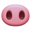 pig_nose
