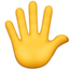raised_hand_with_fingers_splayed raised_hand_with_fingers_splayed