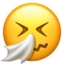 sneezing_face sneezing_face