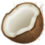coconut coconut