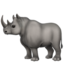 rhinoceros rhinoceros