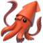 squid squid
