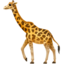 giraffe_face giraffe_face